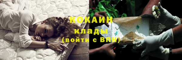 дживик Сосновый Бор