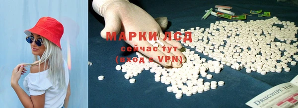 амф Беломорск